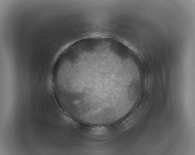 X0000112181454200908211450