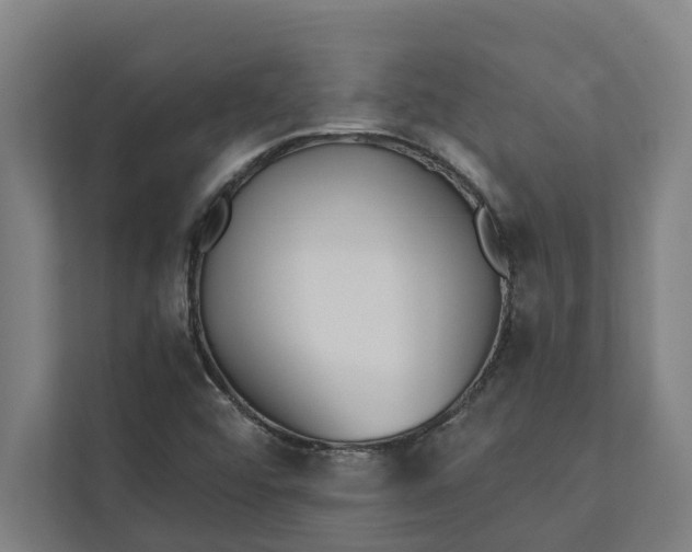 X0000112181456200908211450