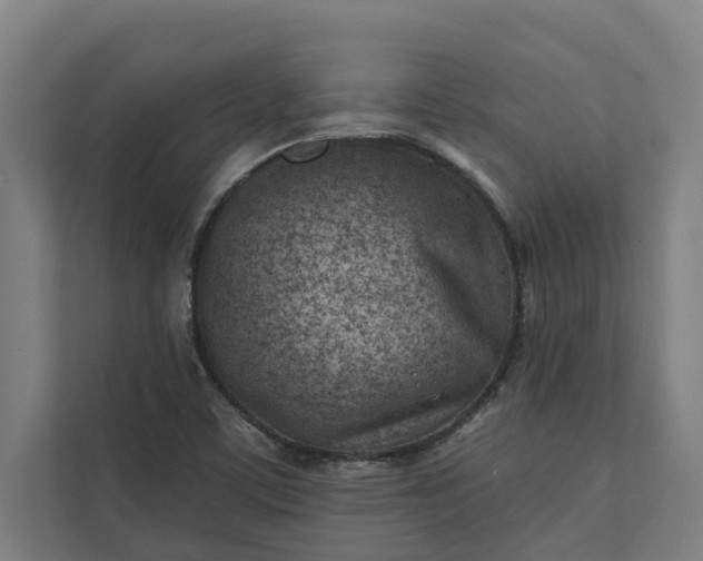 X0000112181459200908211450