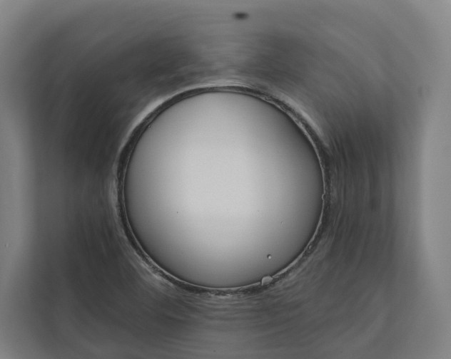 X0000112181460200908211450