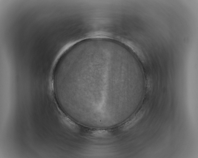 X0000112181462200908211450