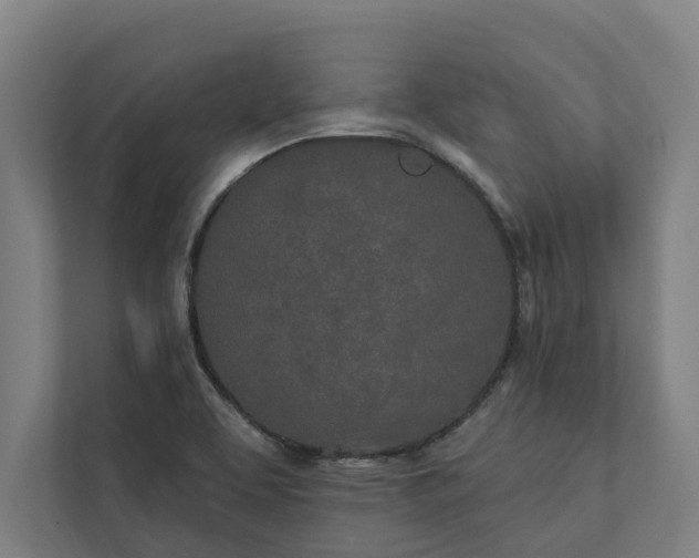 X0000112181463200908211450