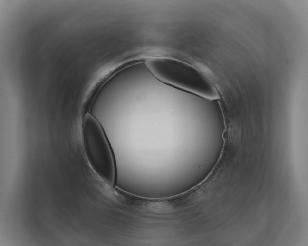 X0000112181464200908211450