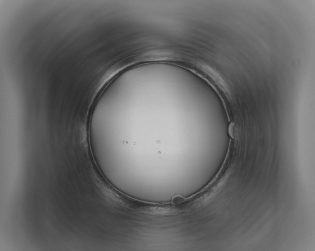 X0000112181465200908211450