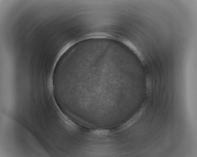 X0000112181466200908211450