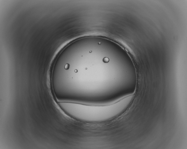 X0000112181468200908211450