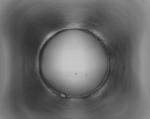 X0000112181469200908211450