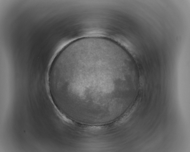 X0000112181470200908211450