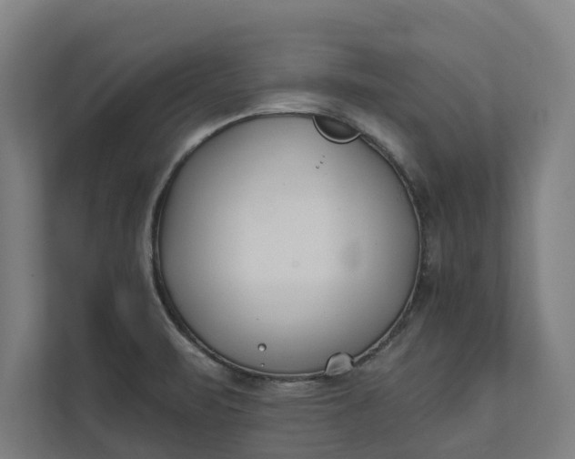 X0000112181471200908211450