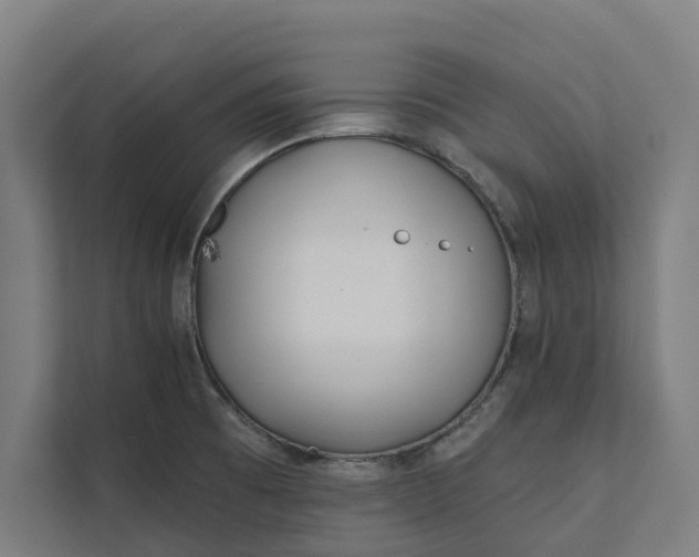 X0000112181473200908211450