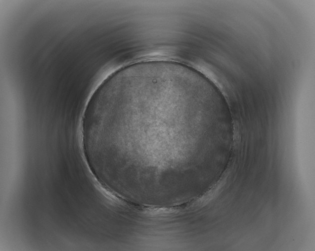 X0000112181474200908211450