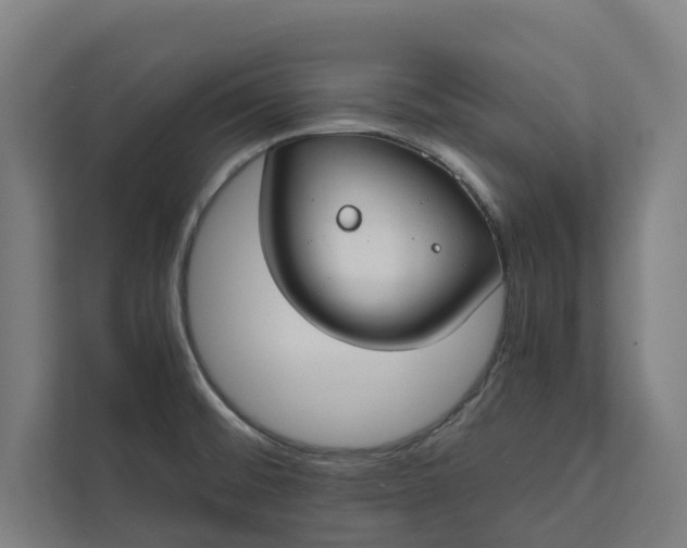 X0000112181476200908211450