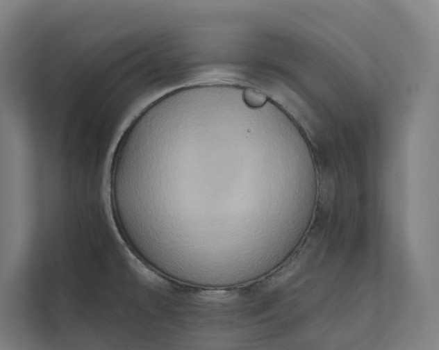 X0000112181478200908211450