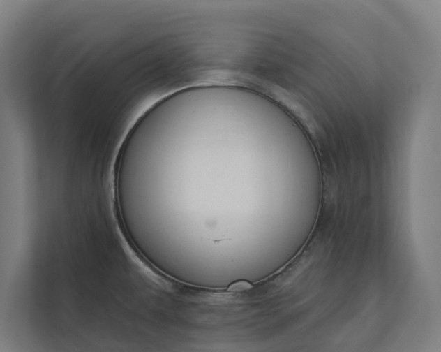 X0000112181479200908211450