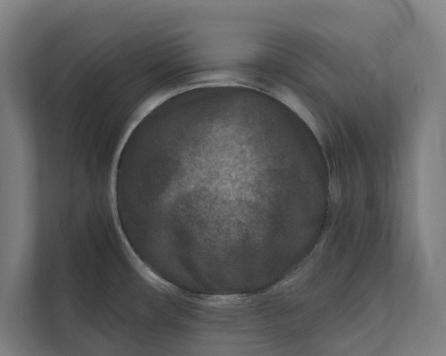 X0000112181482200908211450