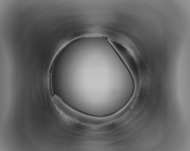 X0000112181484200908211450