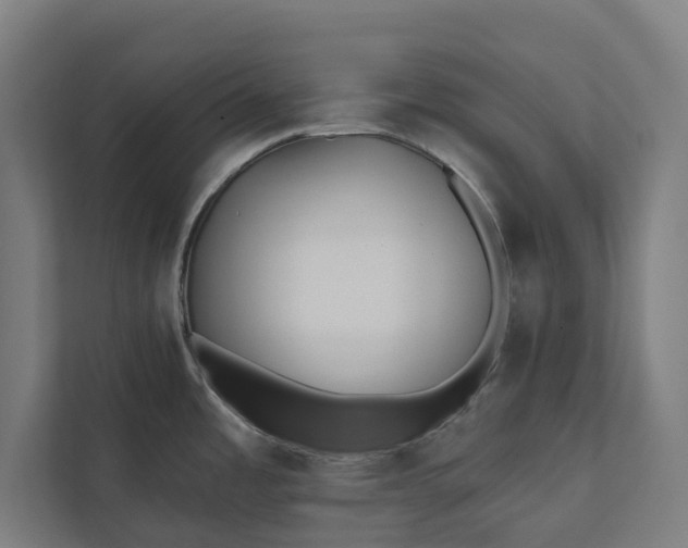 X0000112181485200908211450