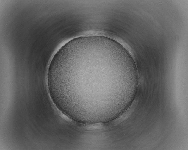 X0000112181486200908211450