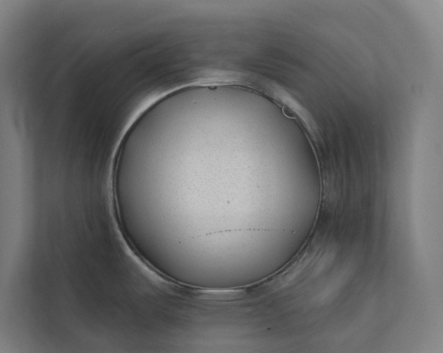 X0000112181487200908211450