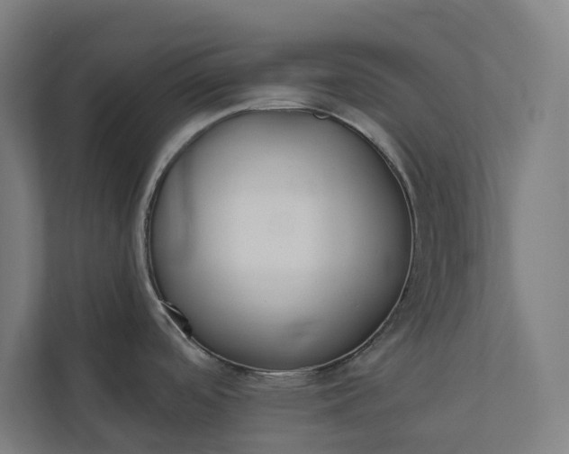 X0000112181488200908211450