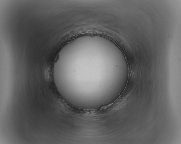 X0000112181490200908211449