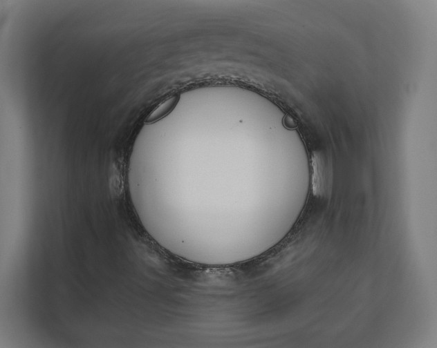 X0000112181491200908211449