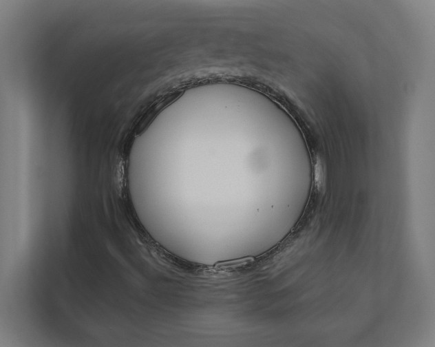 X0000112181492200908211449