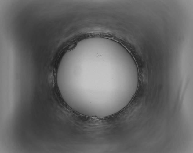 X0000112181493200908211449