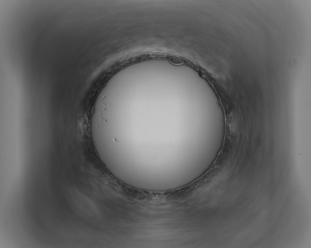 X0000112181495200908211449