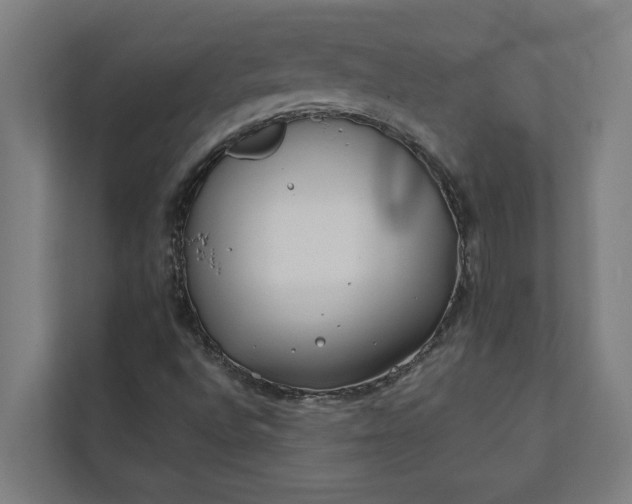 X0000112181496200908211449