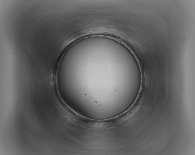 X0000112181497200908211449