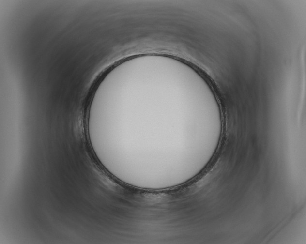 X0000112181498200908211449