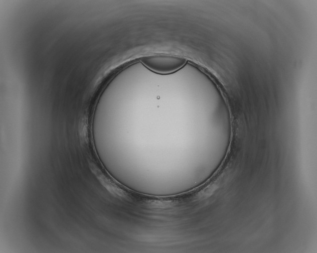 X0000112181499200908211449