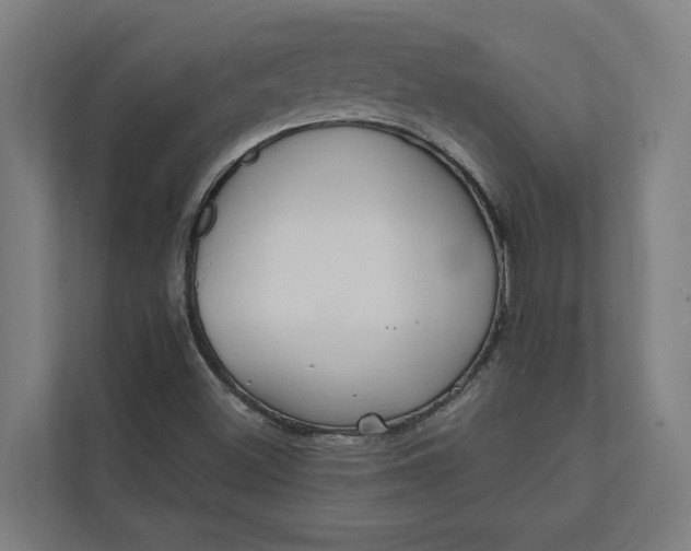 X0000112181500200908211449