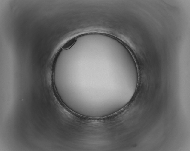 X0000112181504200908211449