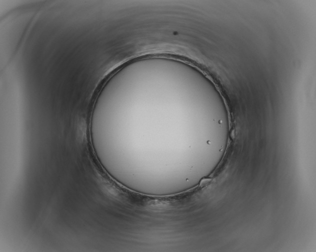 X0000112181505200908211449