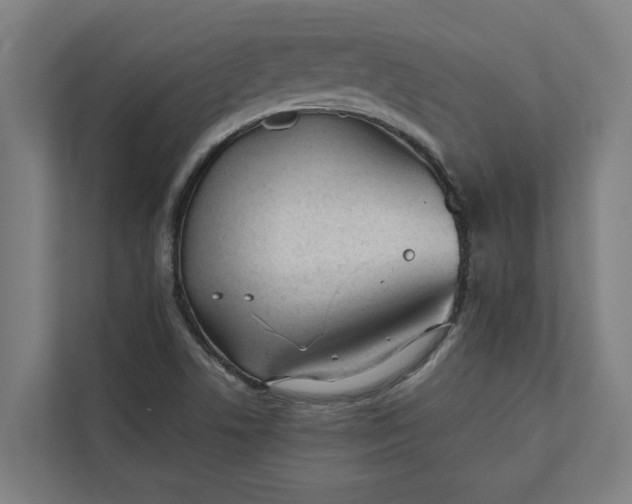 X0000112181506200908211449