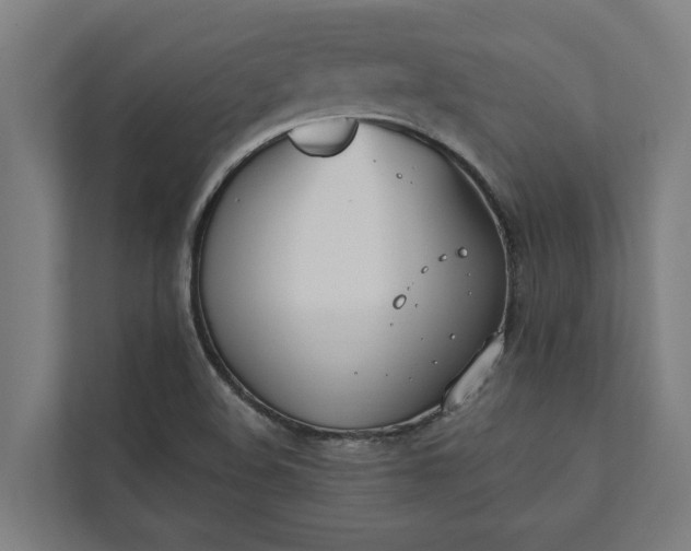 X0000112181508200908211449