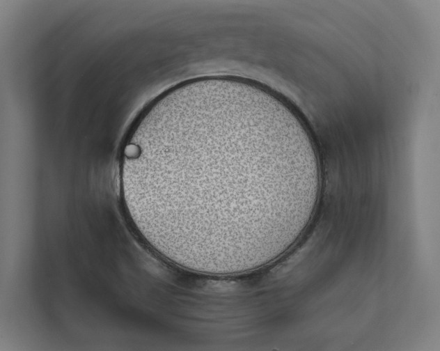 X0000112181509200908211449