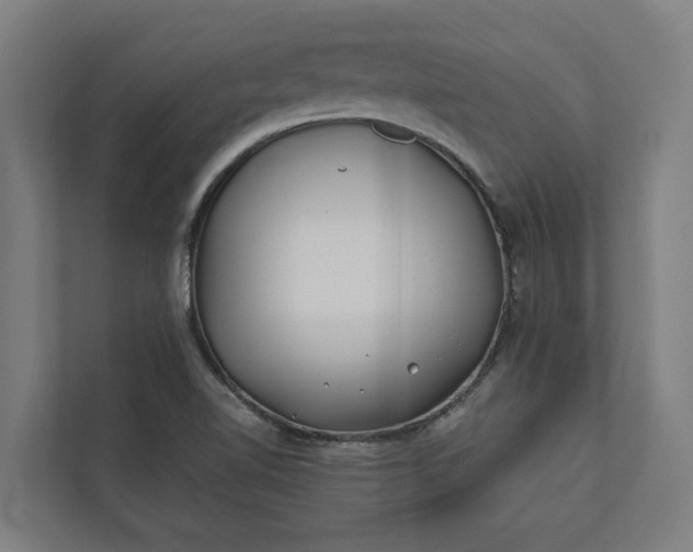 X0000112181510200908211449