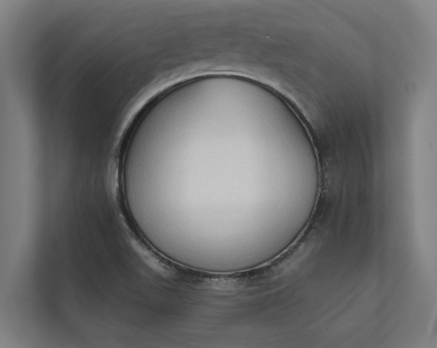 X0000112181511200908211449