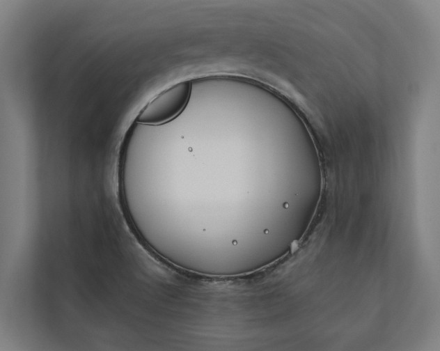 X0000112181512200908211449