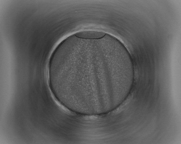 X0000112181515200908211449