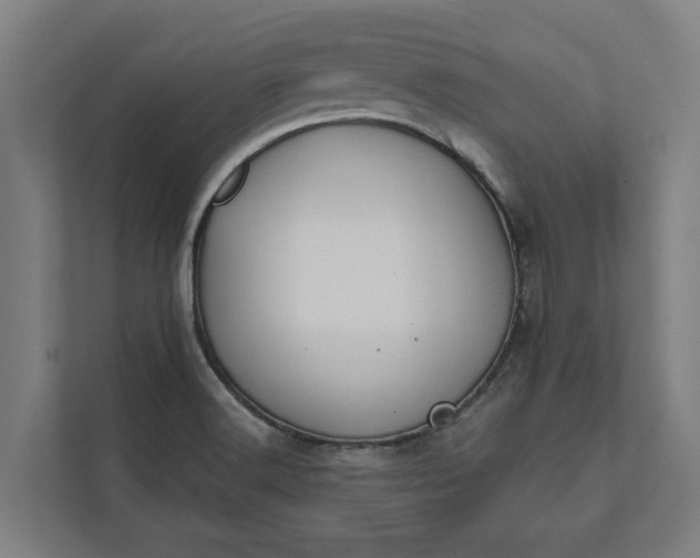 X0000112181516200908211449