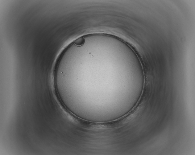 X0000112181517200908211449