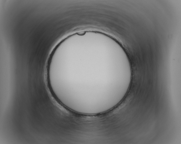 X0000112181518200908211449