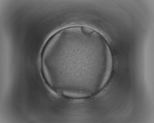 X0000112181519200908211450