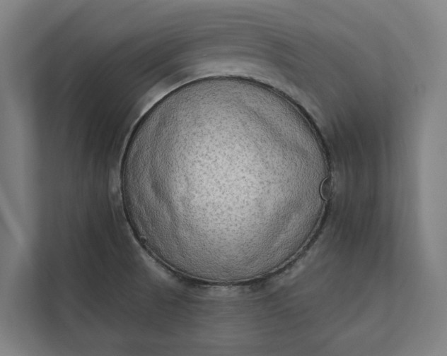 X0000112181521200908211450