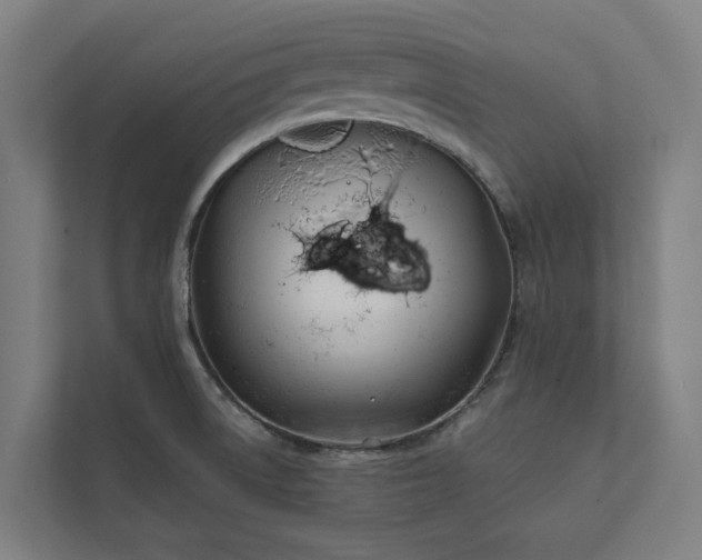 X0000112181522200908211450