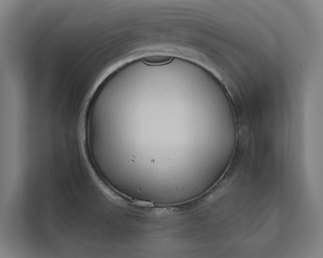 X0000112181523200908211450